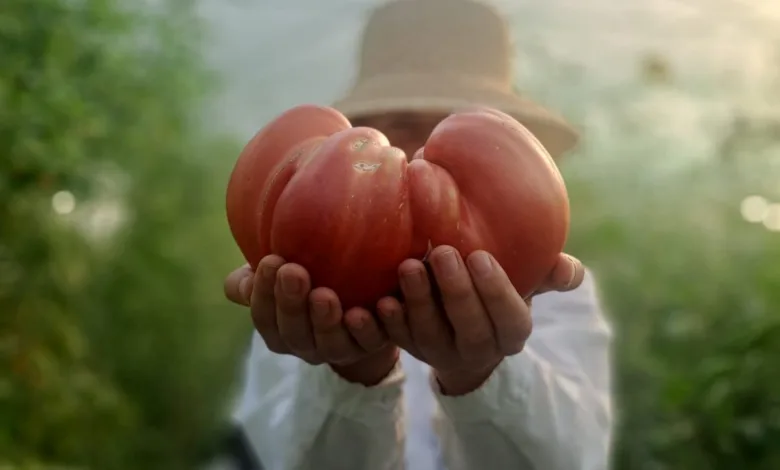 Cercetătorii de la Buzău critică salariile și noile reguli pentru sporul de doctorat