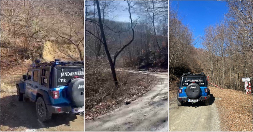 Incident dramatic în Vâlcea: un bărbat atacat de un urs