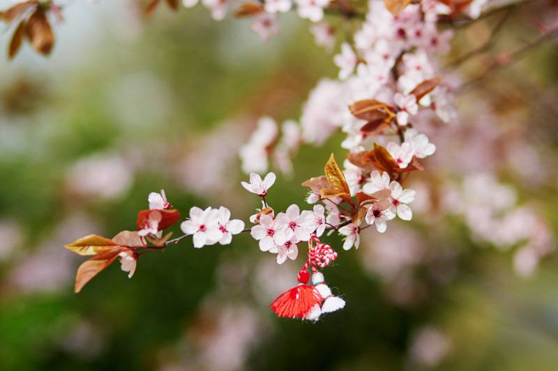 Meteo: Vreme caldă la început de martie în toată țara