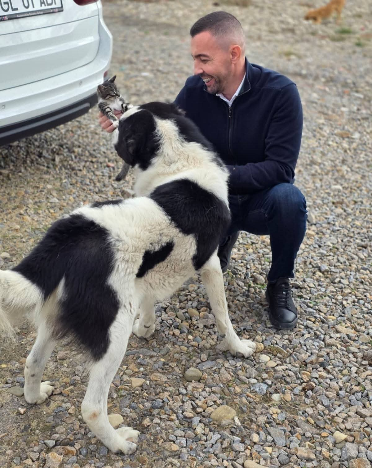 Adrian Pîrvu implicat în salvarea animalelor fără stăpân din Galați