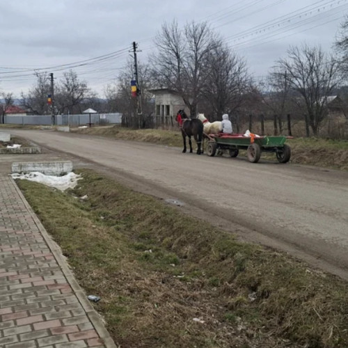 Excursiile în familie, un lux inaccesibil pentru mulți botoșăneni