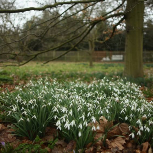 Încălzirea vremii în Muntenia, prognozat pentru începutul lunii martie