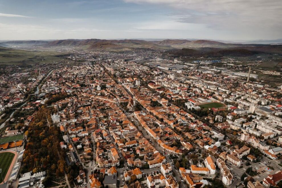 Garda de Mediu atenționează despre plimbarea animalelor de companie în Bistrița