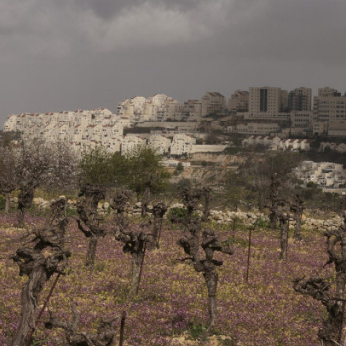 Raport ONU: Israel extinde colonizarea Cisiordaniei la nivel record, violențe și victime în creștere