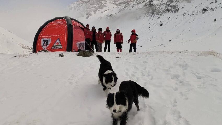 Stagiul Național de Formare a Unităților Canine Salvamont începe în Făgăraș