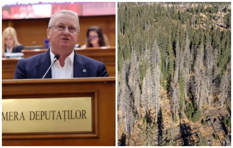 Remus Lăpușan susține modificarea OUG 57/2007 pentru protecția pădurilor