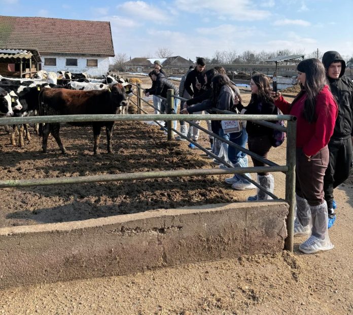 Elevii din Ilfov au finalizat stagii practice și vizite educaționale