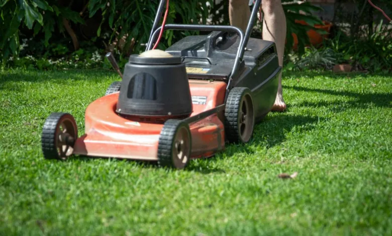 Avantajele tunderii regulate a gazonului pentru o grădină sănătoasă