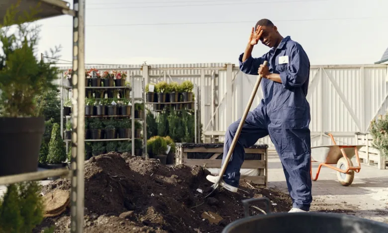 Alegerea motosapei perfecte: importanța puterii motorului