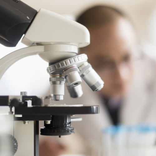 Cercetătorii descoperă anticorpi care blochează virusul Epstein-Barr în organism