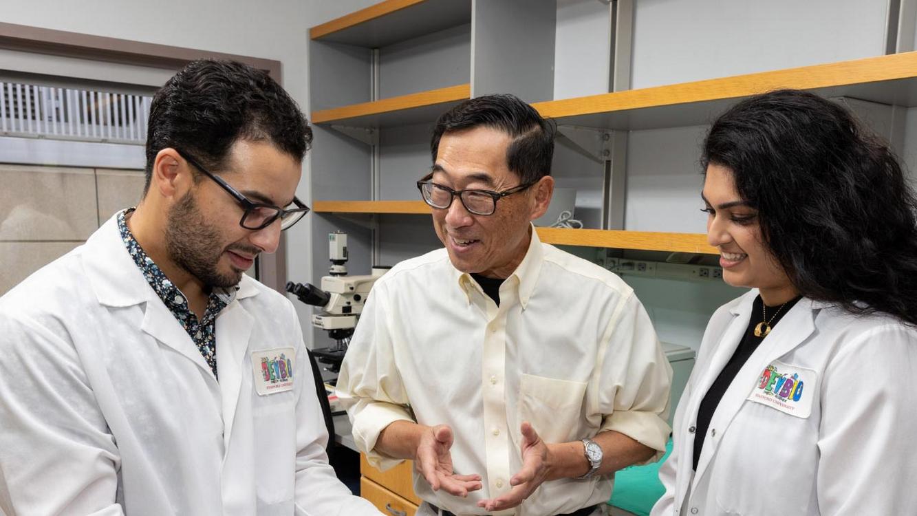 Stanford găsește o soluție pentru diabetul de tip 1 la șoareci fără insulină sau suprimarea imunității