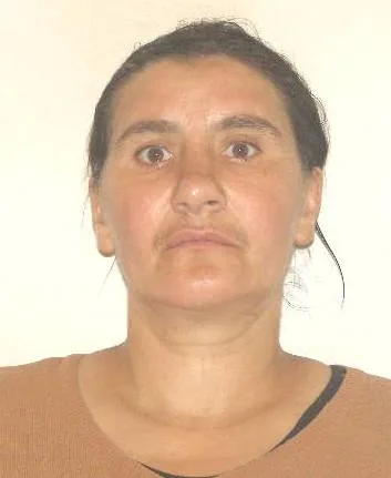 Căutări în Padina pentru o femeie dispărută de trei zile