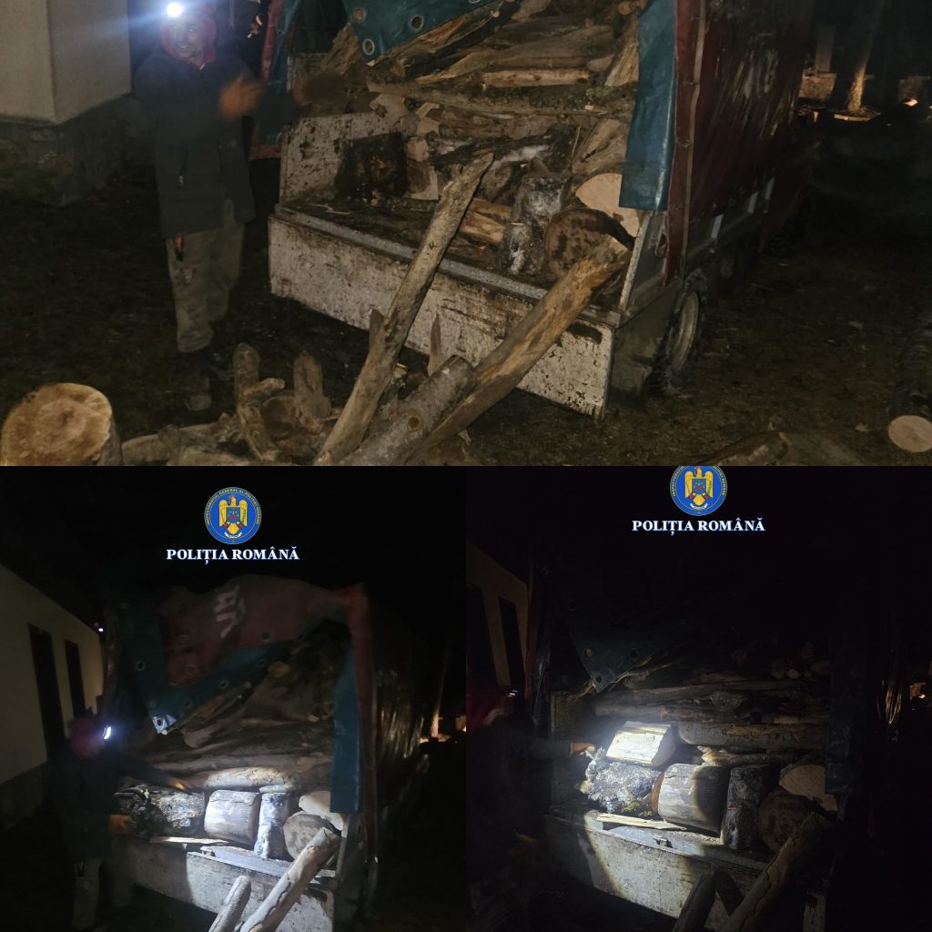 Doi bărbați din Polovragi, prinși transportând material lemnos ilegal