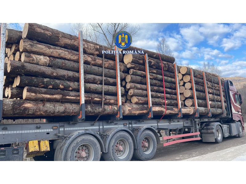 Lemn fără aviz descoperit de polițiști la Bicazu Ardelean