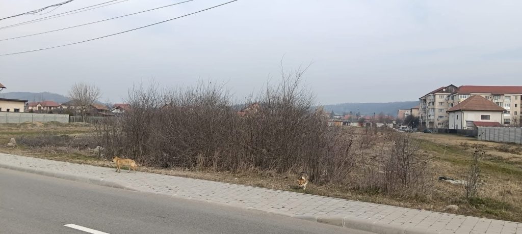 Atenționare importantă pentru proprietarii de terenuri din Motru