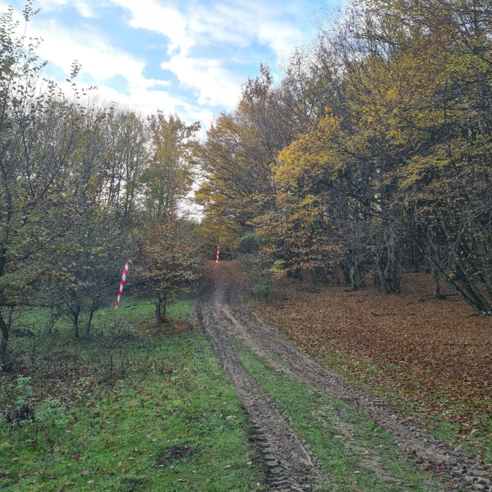 Un nou drum colector va face legătura între Sigmir și DN17C