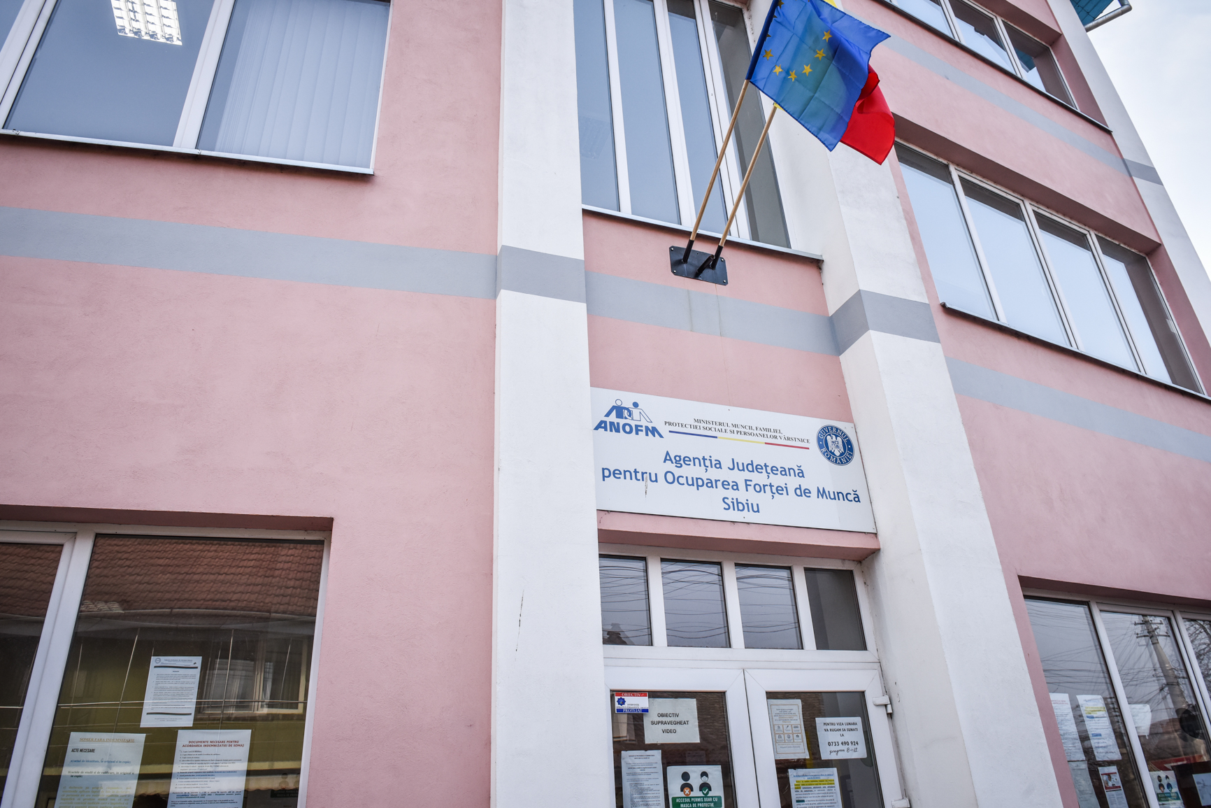 Bursa Locurilor de Muncă la Sibiu: Oportunități pentru cei în căutare