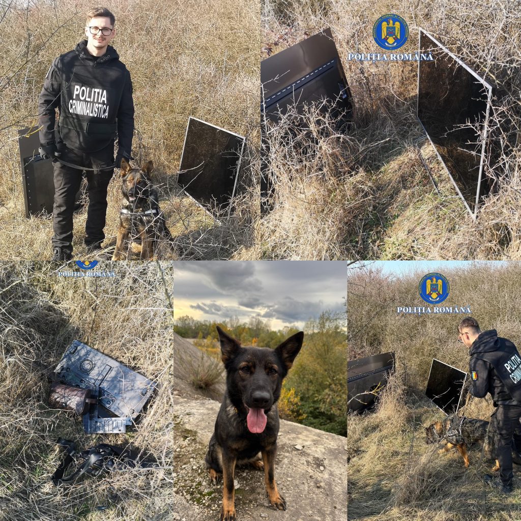 Un minor din Telești a fost reținut pentru furt din locuința unei bătrâne