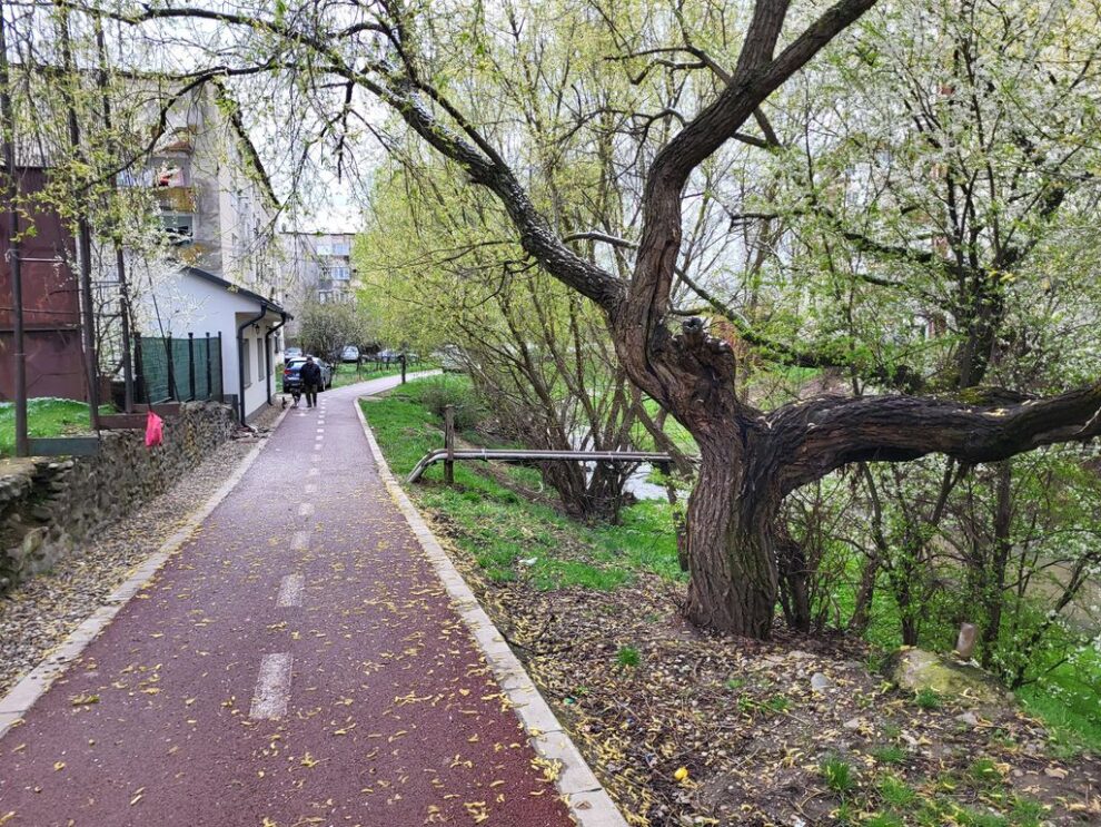 Proiect major de reabilitare a pârâului cu spații verzi și iluminat public