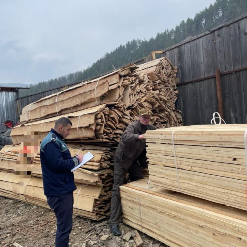 Controale și sancțiuni în sectorul silvic: Acțiunea IPJ Vrancea a dus la aplicarea a 36 de sancțiuni în valoare de aprox. 47.000 de lei