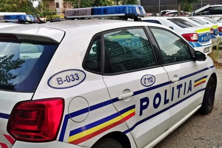 Acțiune polițienească în Baia Sprie pentru combaterea migrației ilegale