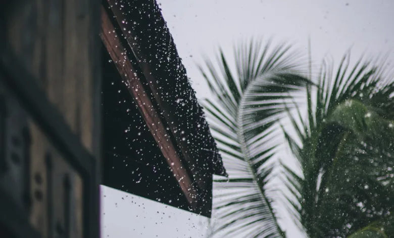 Alege folia hidroizolatoare potrivită pentru o locuință durabilă