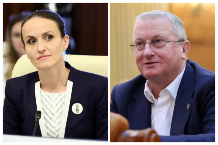 Remus Lăpușan solicită demisia Oanei Țoiu din funcția de ministru