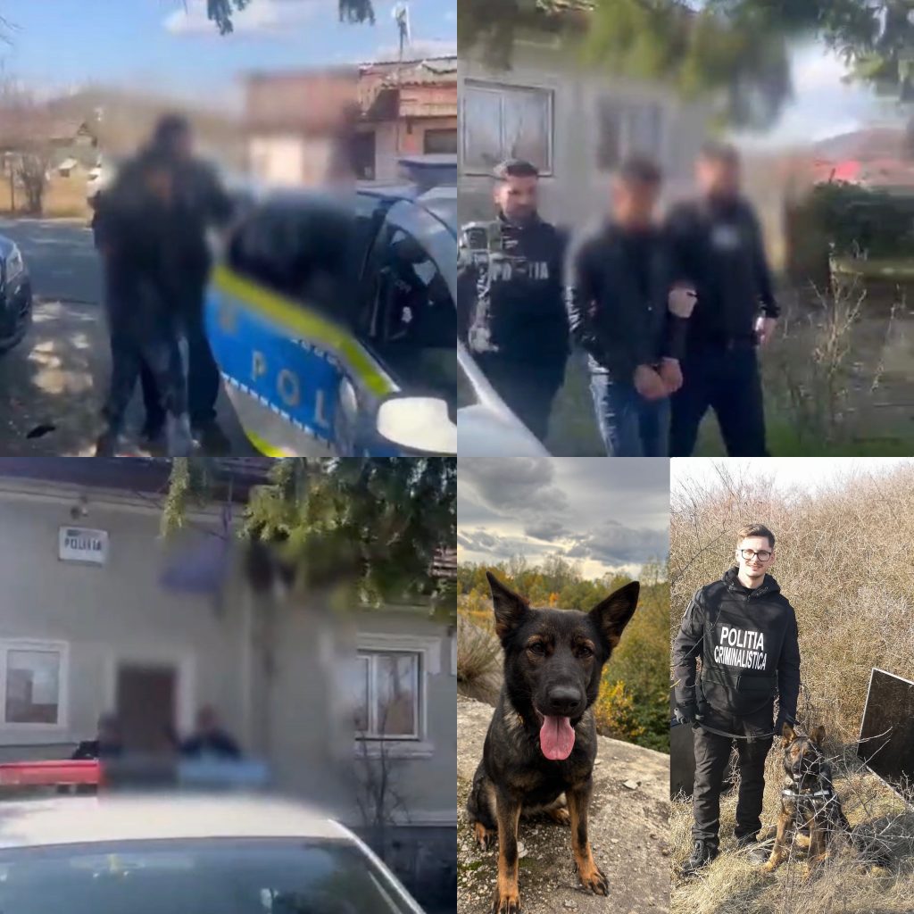 Doi tineri reținuți pentru furt din locuința unei femei din Bălești