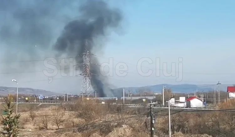 Incendiu de vegetație uscată în Apahida, Cluj