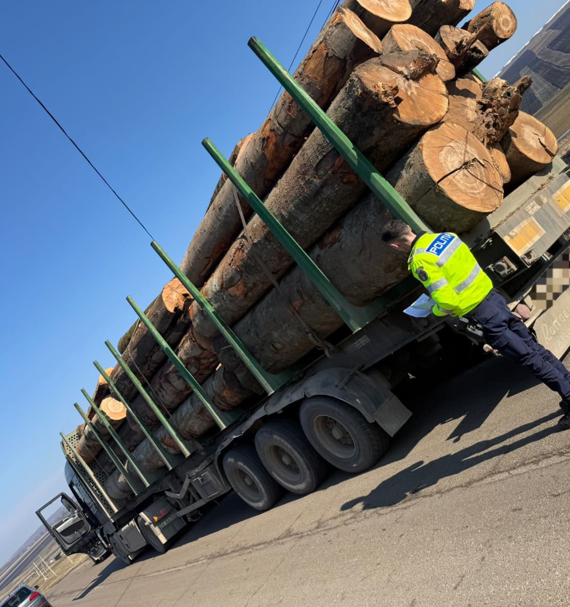 Acțiune a poliției în Botoșani pentru combaterea ilegalităților din domeniul silvic