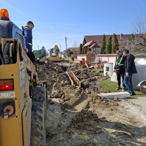 Mogoșani începe primăvara cu acțiuni de curățenie și plantare de pomi