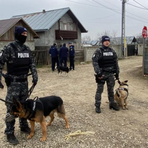 Amploare la Șcheia - Mascații au descins cu câini de urmă pentru prevenirea abandonului școlar și creșterea siguranței publice în cartierul de romi.