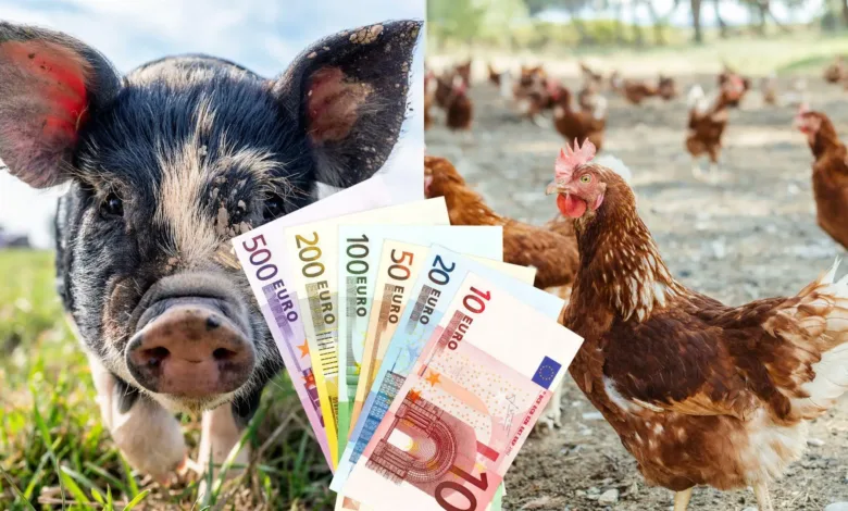 APIA anunță eliberarea adeverințelor pentru fermieri