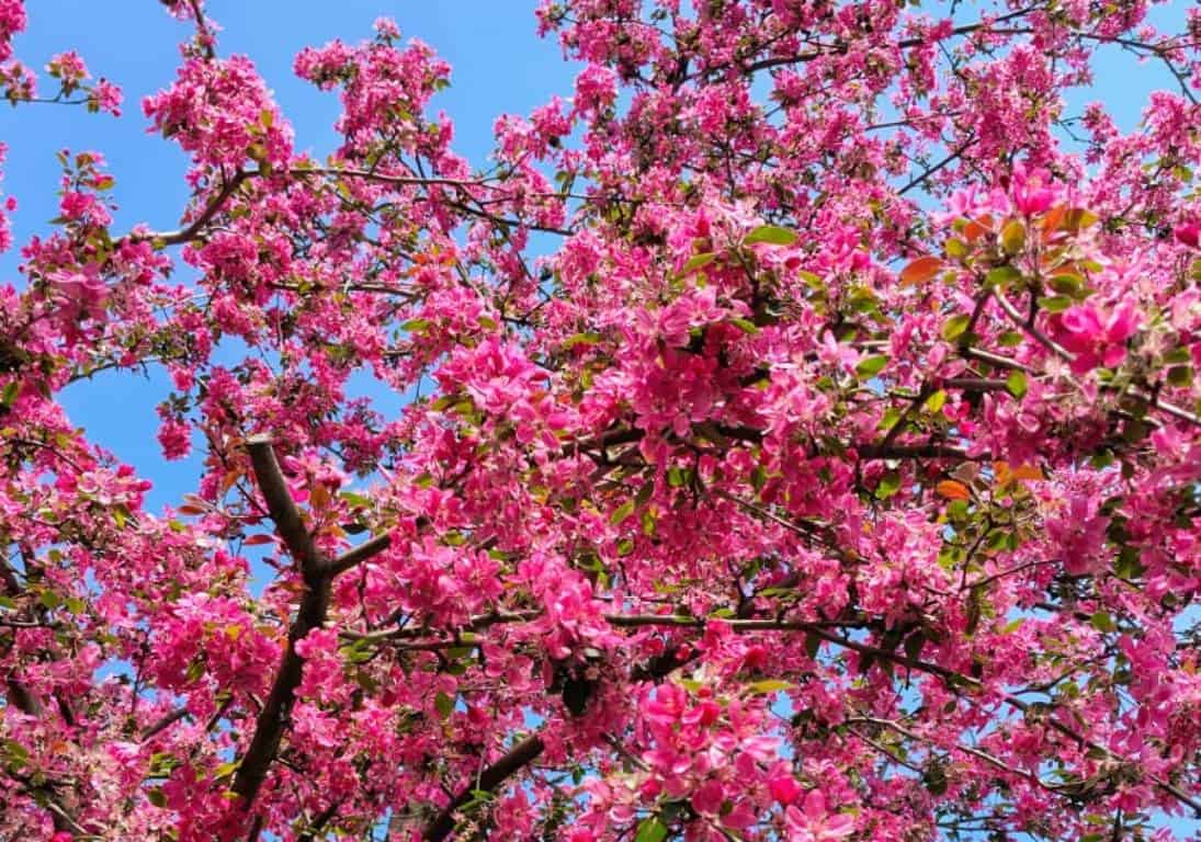 Vremea se menține caldă în România, cu temperaturi de până la 18 grade