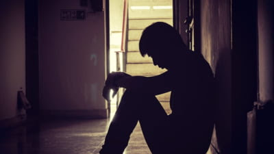 Minor din Olt cercetat pentru asmuțirea câinilor asupra unei pisici