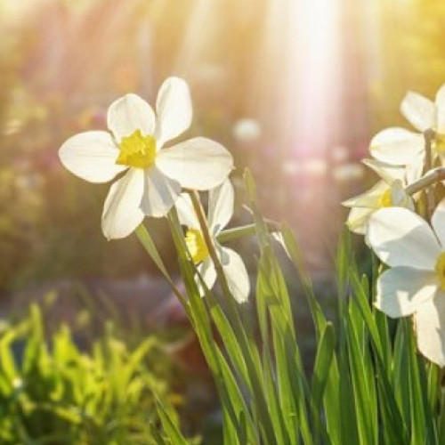 Vreme caldă în București, cod galben pentru vânt în Caraș-Severin