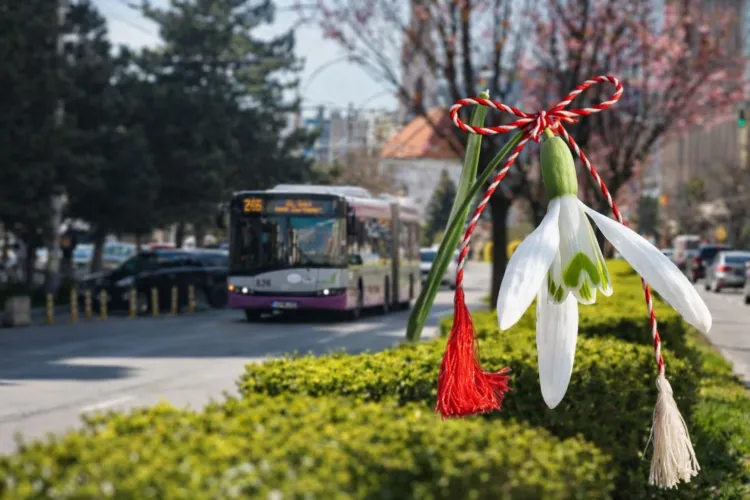 Femeile din Cluj-Napoca circulă gratuit cu transportul public pe 8 martie