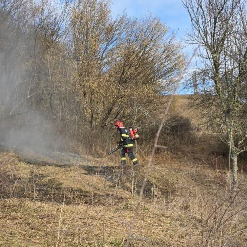 Incendiu de vegetație în zona Valea Lungă, intervenție a pompierilor