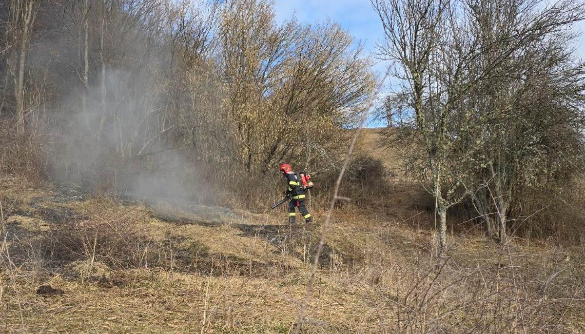 Incendiu de vegetație în zona Valea Lungă, intervenție a pompierilor