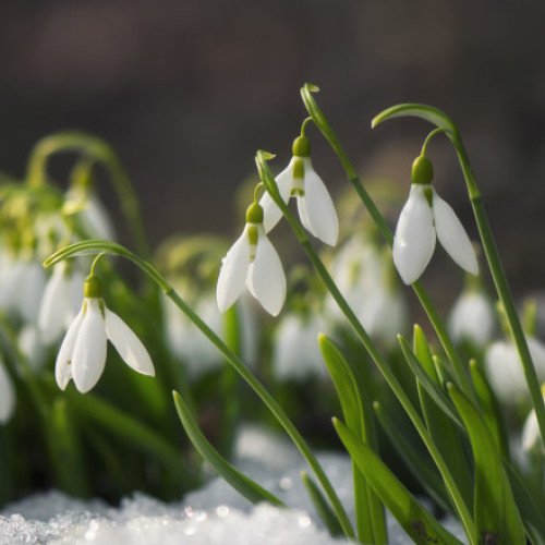 Vreme însorită, dar cu vânt puternic anunțat în România