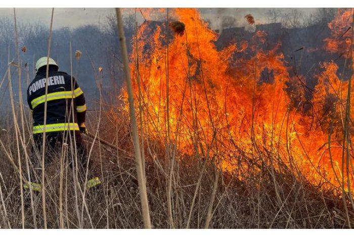 Incendiu de vegetație între Senereuș și Filitelnic
