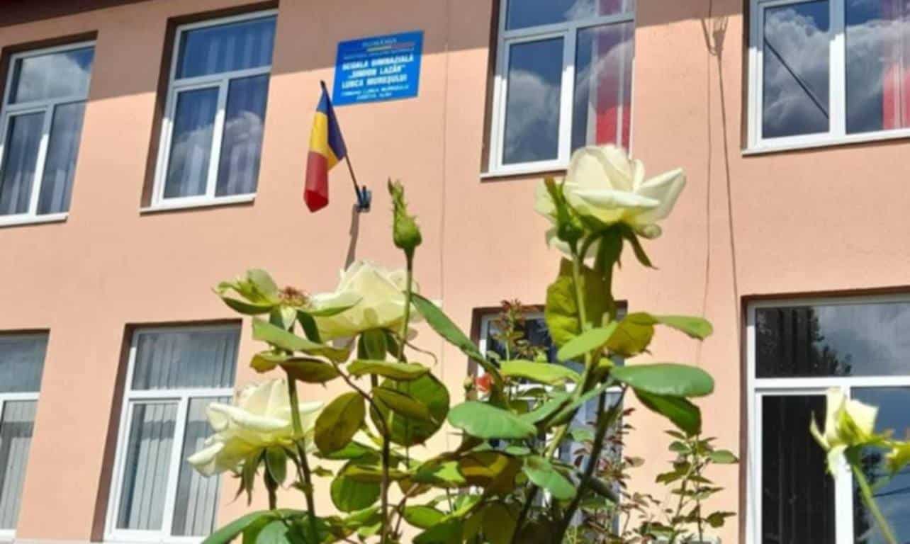 Elevii din Lunca Mureșului se implică în ecologizarea comunei