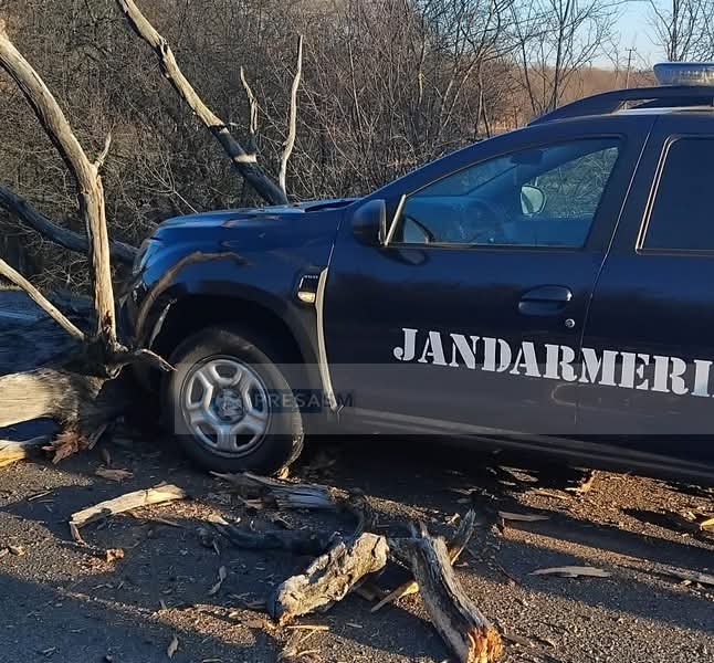 Copac prăbușit blochează DN19 în județul Satu Mare