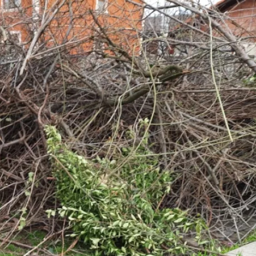 Campanie de colectare a crengilor în comuna Jucu