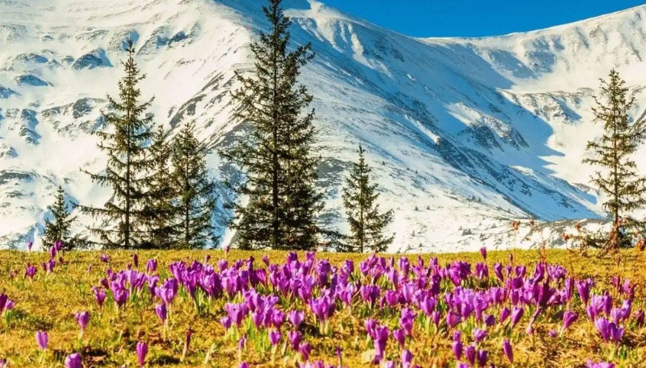 Vreme blândă în Muntenia: prognoza ANM pentru următoarele două săptămâni