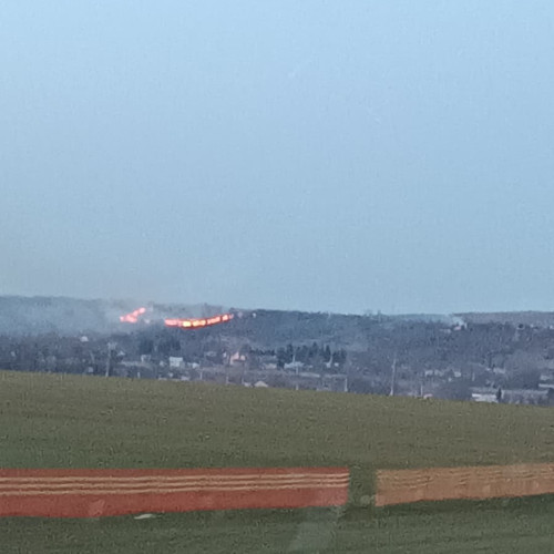 Incendii devastatoare: Peste 24 de hectare de vegetație au ars în Neamț