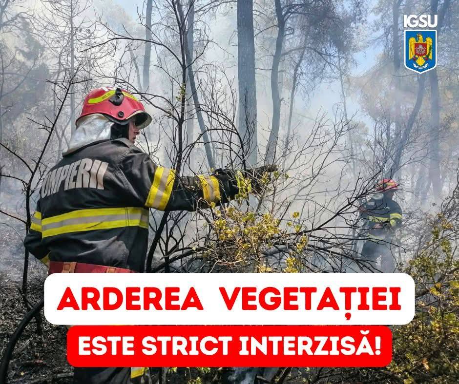 Primele incendii de vegetație din 2026 trag un semnal de alarmă