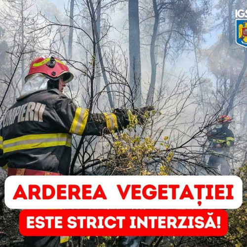 Primele incendii de vegetație din 2026 trag un semnal de alarmă