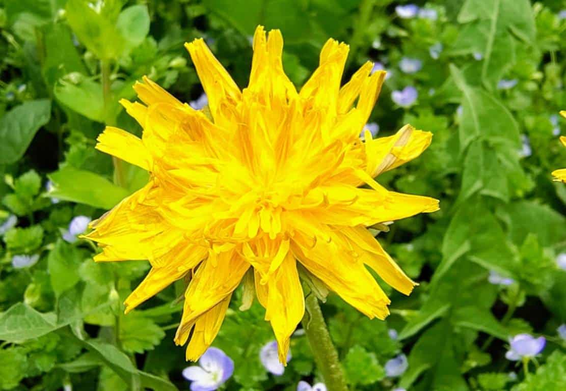 Vreme deosebit de caldă până pe 23 martie, cu posibile ploi slabe