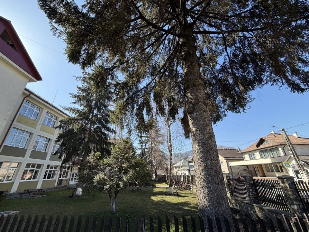 Investiție de 3,75 milioane lei pentru modernizarea străzii Republicii